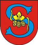 Gmina Spiczyn