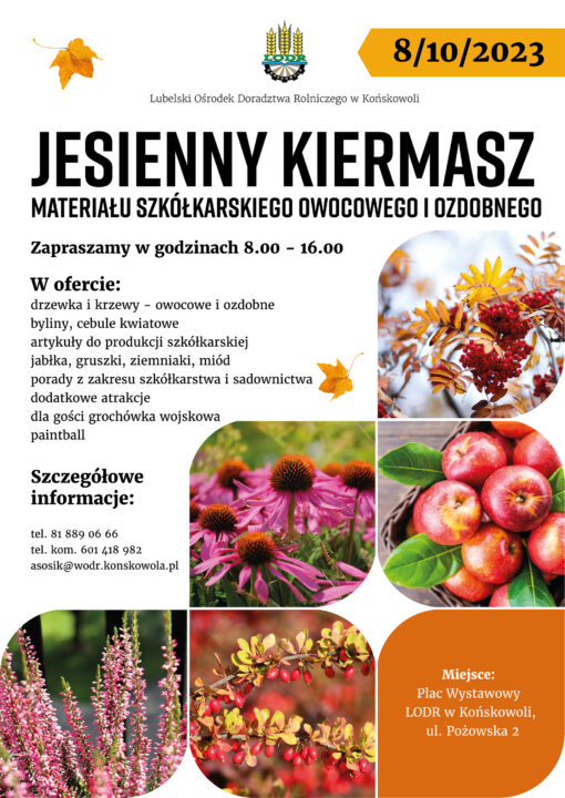 Miniaturka artykułu Zaproszenie na Jesienny Kiermasz