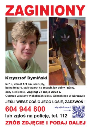 Miniaturka artykułu Zaginiony