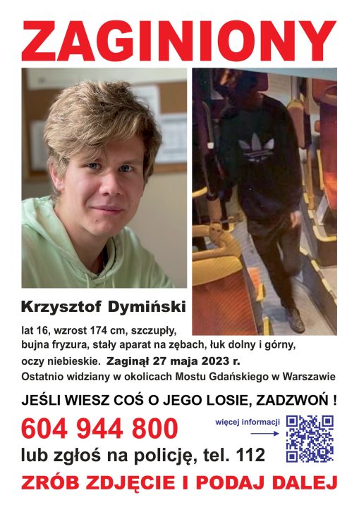 Miniaturka artykułu Zaginiony