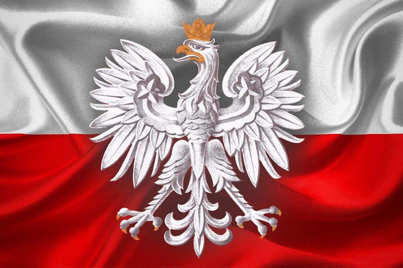 Miniaturka artykułu Odezwa Komitetu Honorowego Obchodów Narodowego Święta Niepodległości 11 Listopada w Województwie Lubelskim