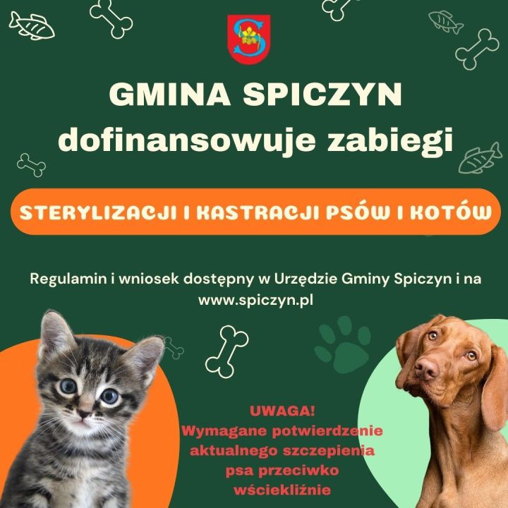 Miniaturka artykułu Dofinansowanie sterylizacji i kastracji psów i kotów