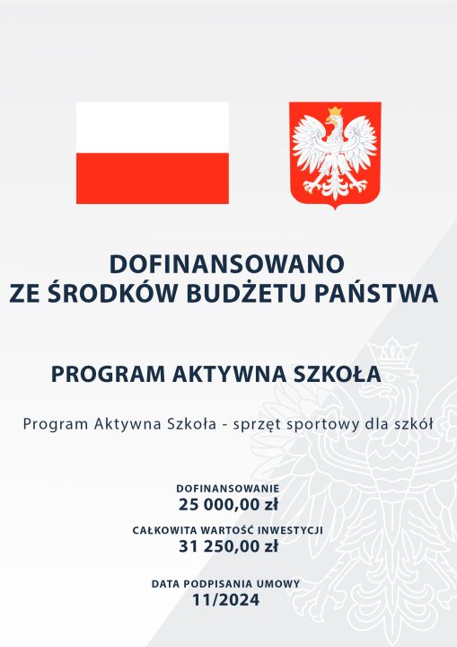 Miniaturka artykułu Aktywna Szkoła – sprzęt sportowy dla szkół.