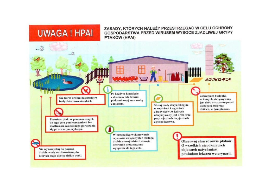Miniaturka artykułu Rozporządzenie Wojewody Lubelskiego w sprawie ptasiej grypy