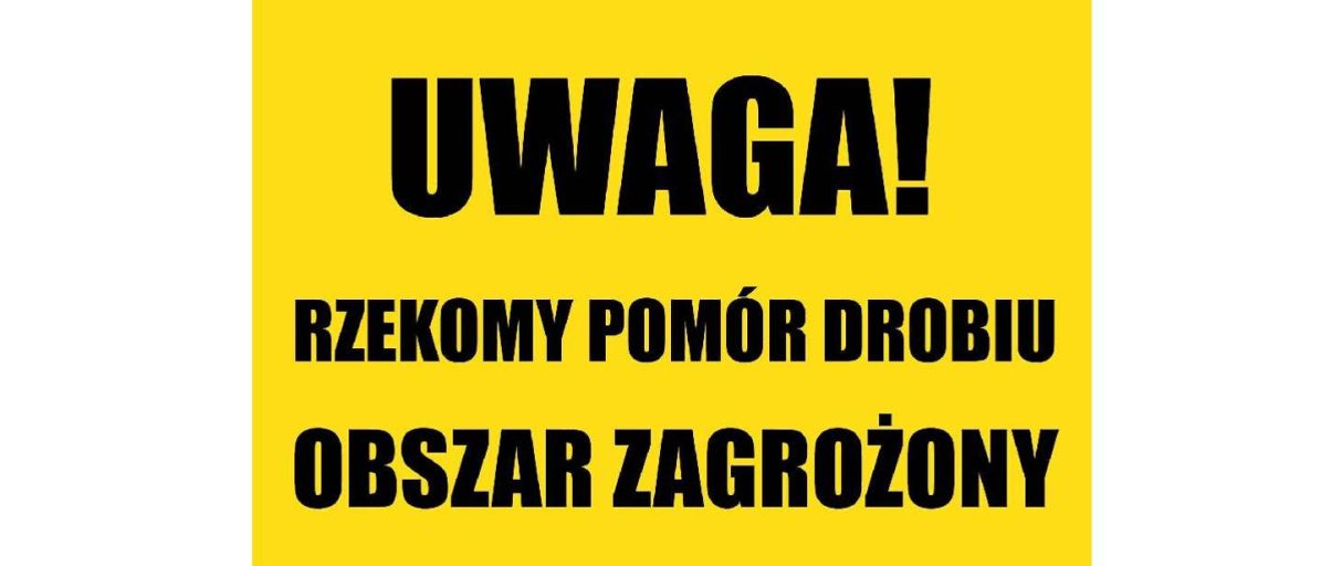 Miniaturka artykułu Rzekomy pomór drobiu