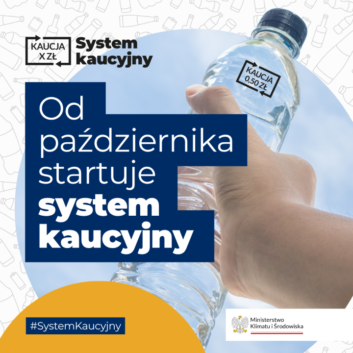Miniaturka artykułu System kaucyjny