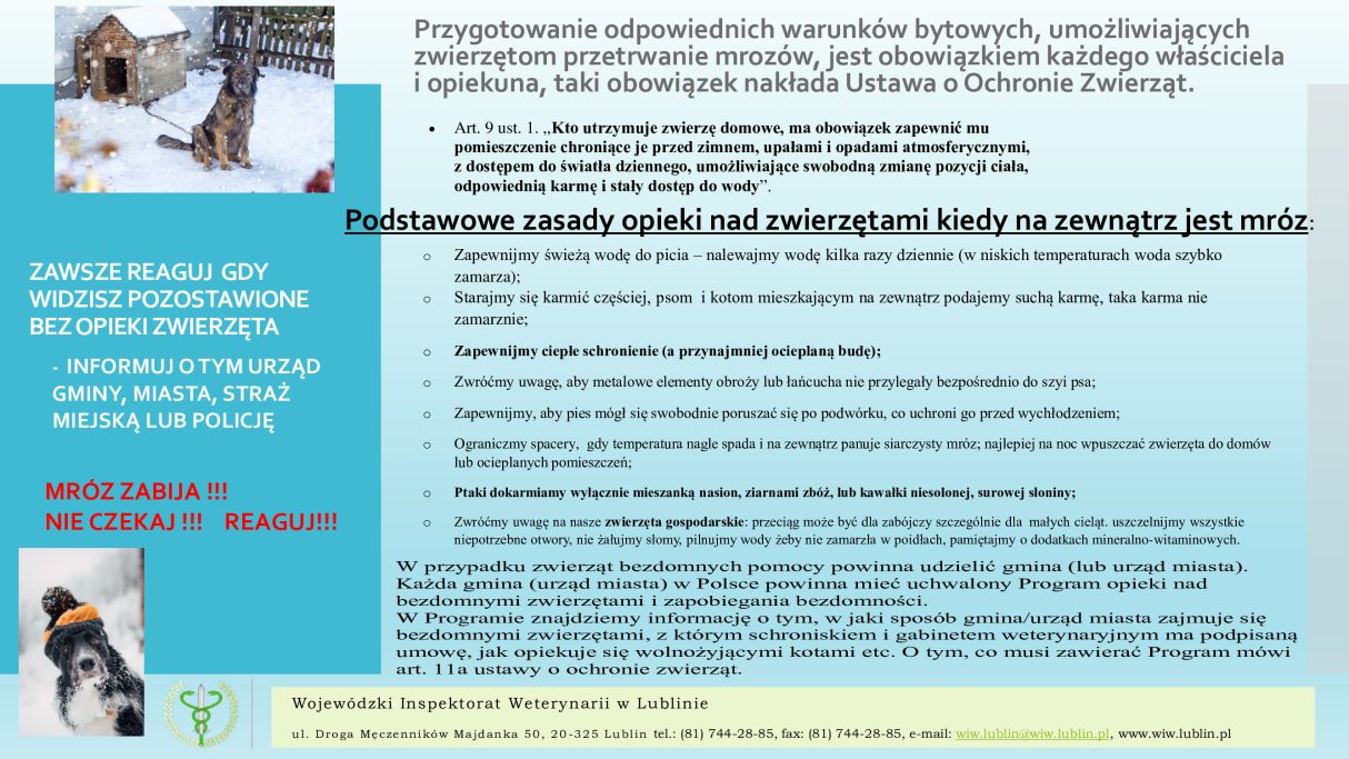 Miniaturka artykułu Podstawowe zasady opieki nad zwierzętami podczas mrozu