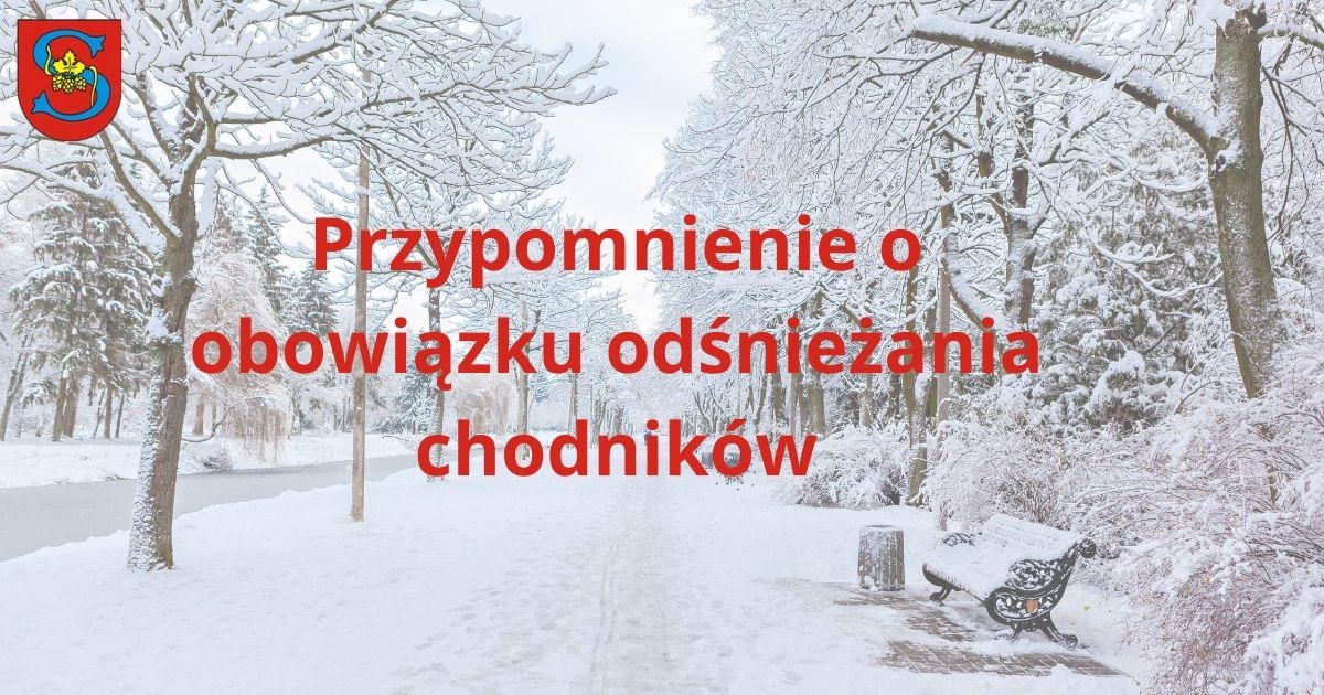 Miniaturka artykułu Przypomnienie o obowiązku odśnieżania chodników