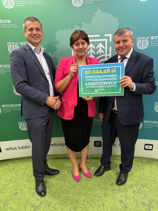 Miniaturka artykułu Dotacja na usuwanie odpadów azbestowych