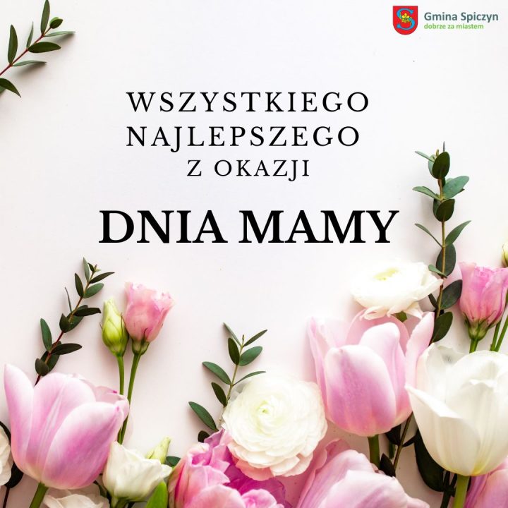 Miniaturka artykułu Wszystkiego najlepszego dla Wszystkich Mam!