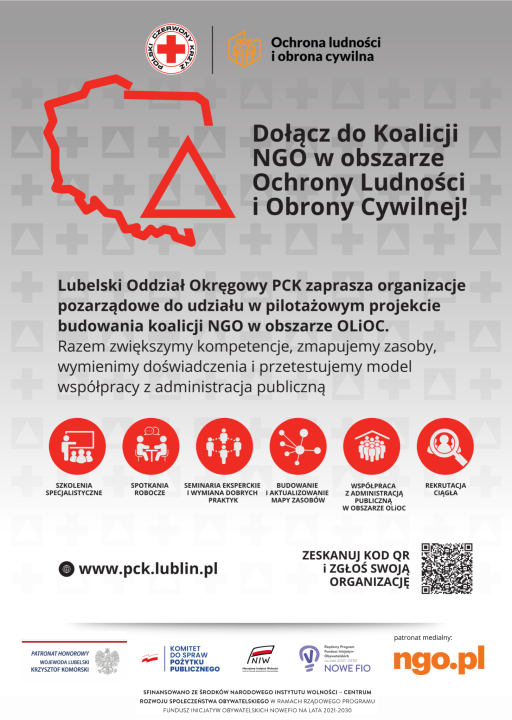 Miniaturka artykułu Pilotażowy projekt dla NGO