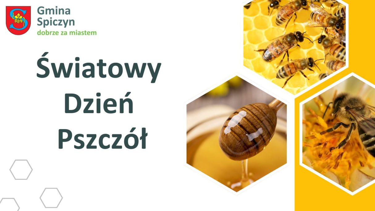 Miniaturka artykułu 20 maja obchodzimy Światowy Dzień Pszczół