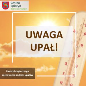 Miniaturka artykułu Zasady bezpiecznego zachowania podczas upałów