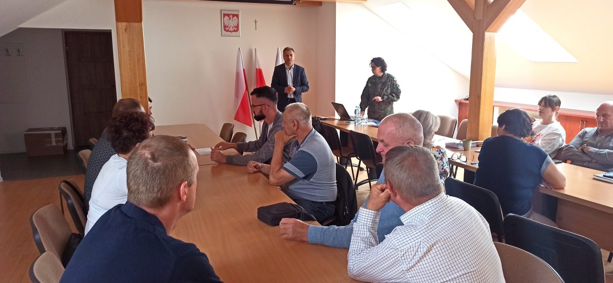 Miniaturka artykułu Bezpieczeństwo i odporność lokalna