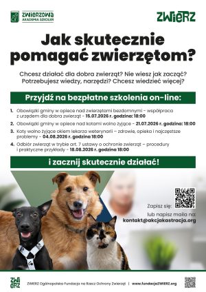 Miniaturka artykułu Szkolenia poświęcone opiece nad zwierzętami bezdomnymi oraz kotami wolno żyjącymi