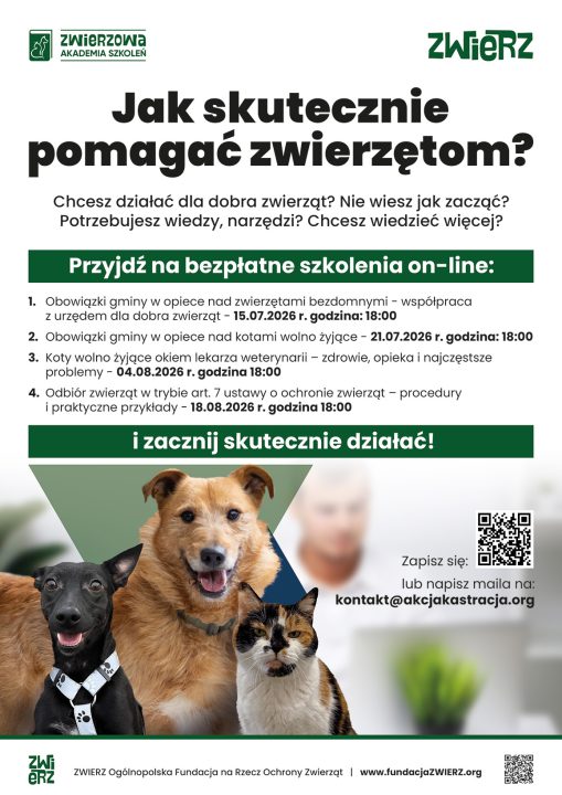 Miniaturka artykułu Szkolenia poświęcone opiece nad zwierzętami bezdomnymi oraz kotami wolno żyjącymi