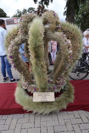 Miniaturka artykułu Dożynki Powiatowe 2026